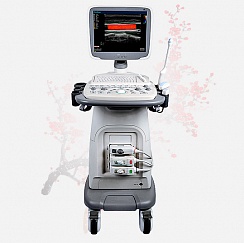 Ультразвуковой сканер Sonoscape S11
